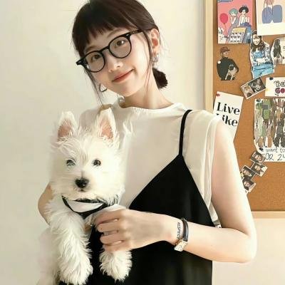 怪物史莱克3